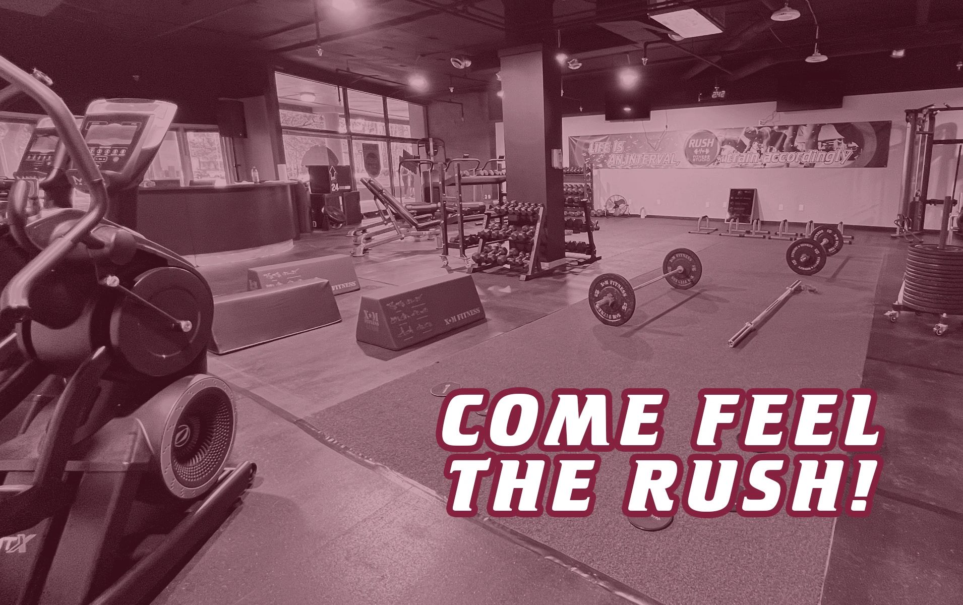 Programs Rush Fitness Studio